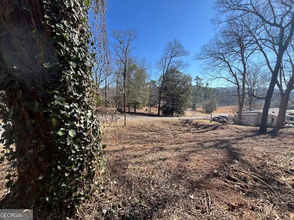 59 Bradley ST Blue Ridge, GA 30513