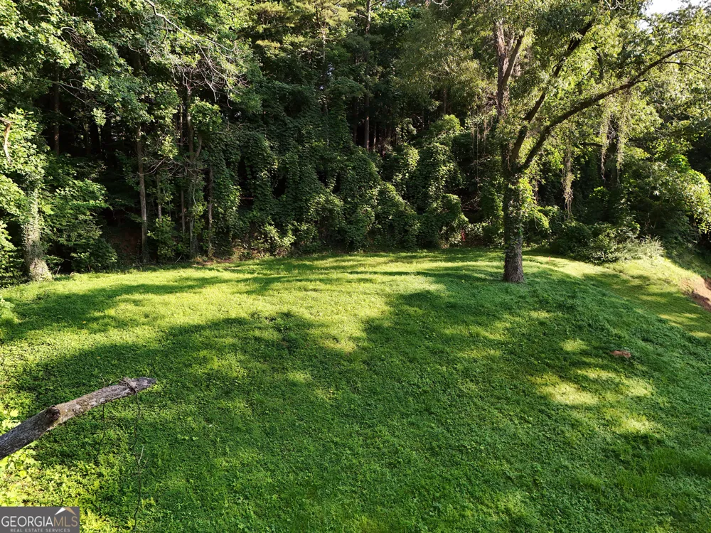 59 Bradley ST Blue Ridge, GA 30513