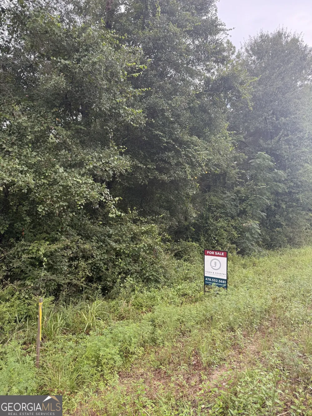 LOT 1 Harrison Davisboro RD Davisboro, GA 31018