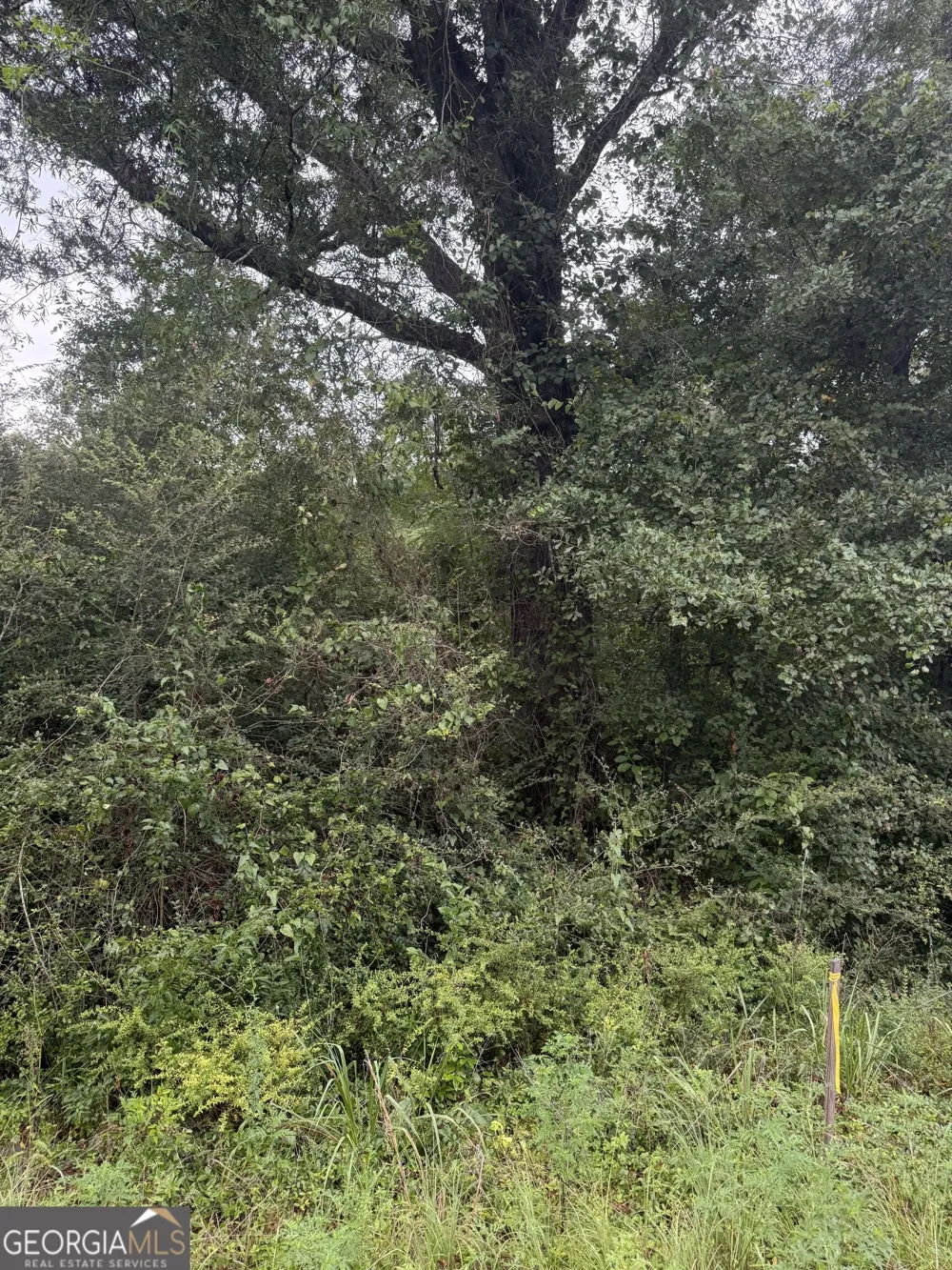 LOT 1 Harrison Davisboro RD Davisboro, GA 31018