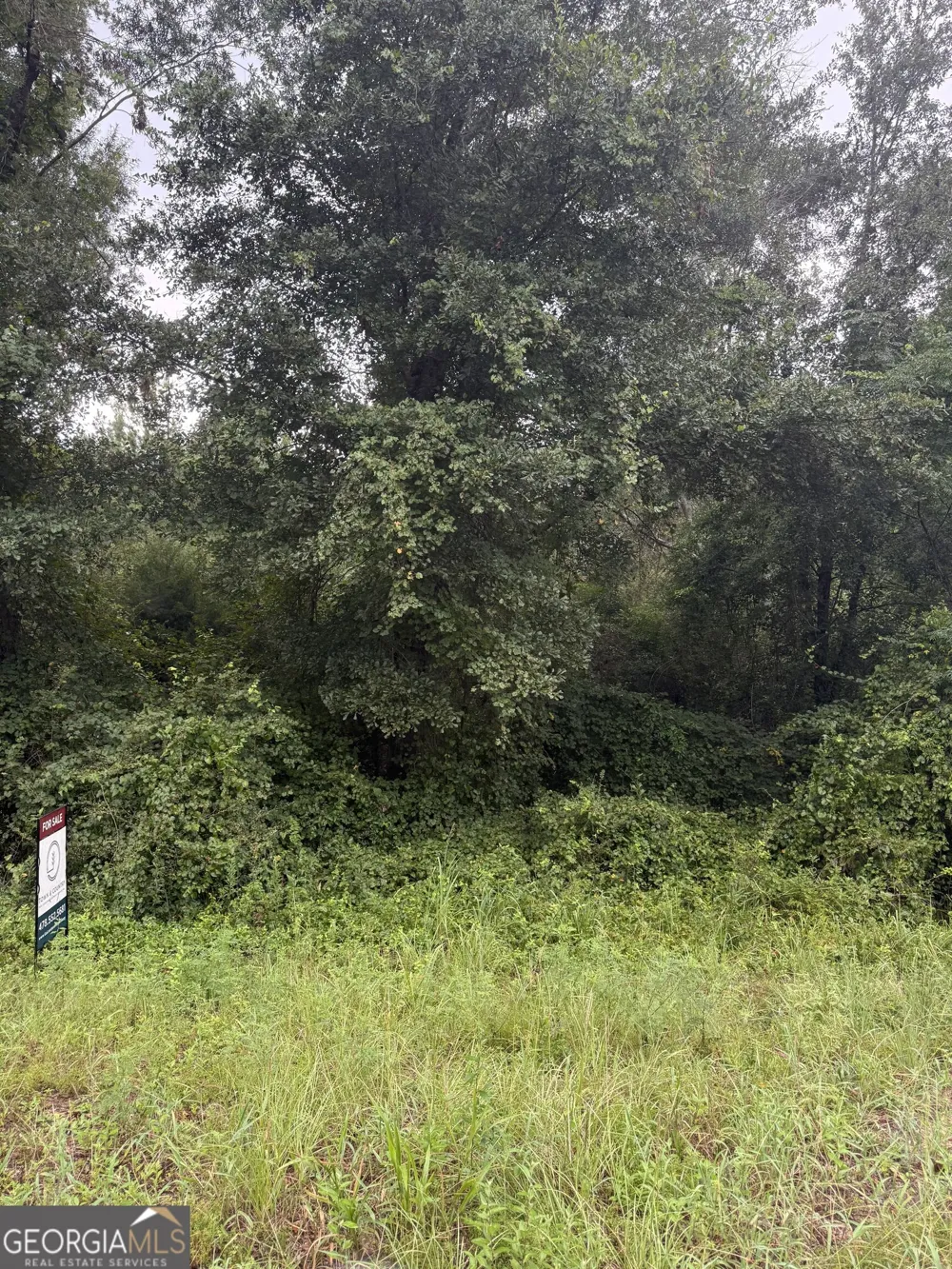 LOT 1 Harrison Davisboro RD Davisboro, GA 31018