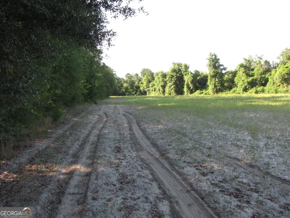 0 Hwy 17 Newington, GA 30446