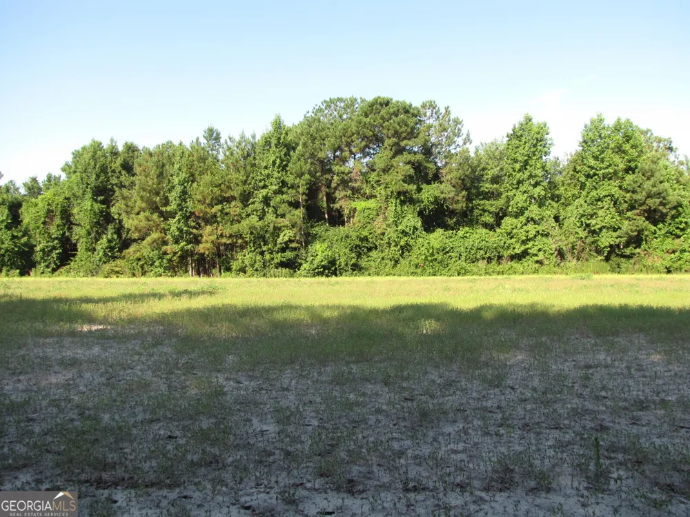0 Hwy 17 Newington, GA 30446