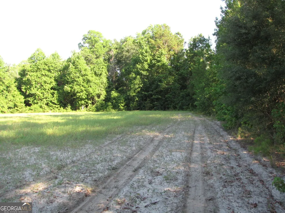 0 Hwy 17 Newington, GA 30446