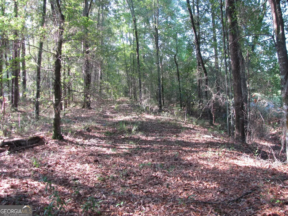 0 Hwy 17 Newington, GA 30446