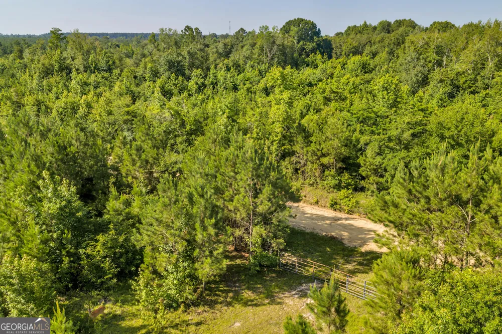 1 Rozar Goolsby RD Eastman, GA 31023