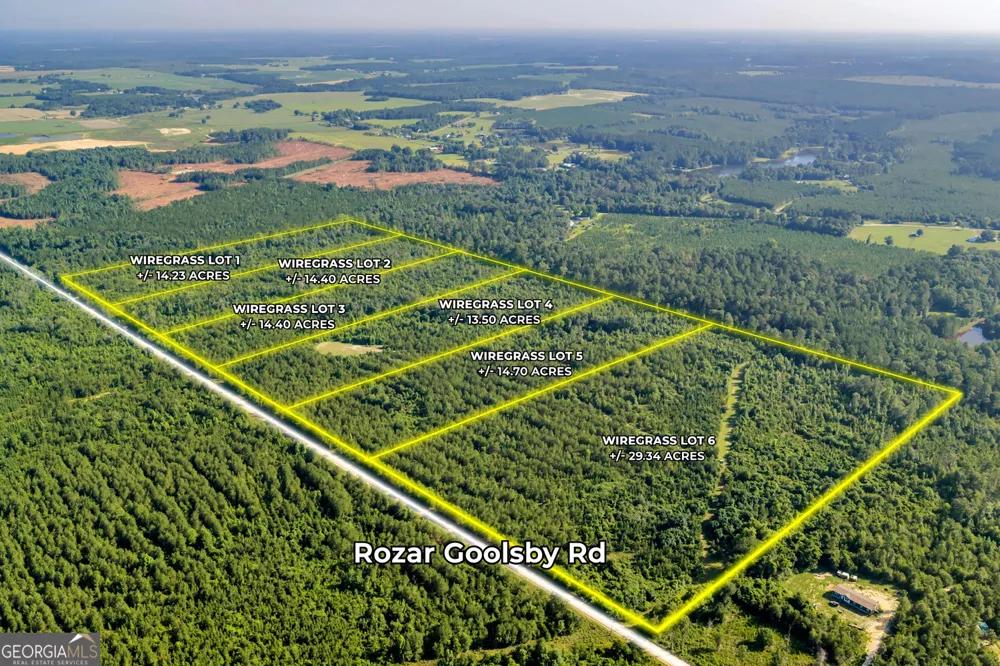 1 Rozar Goolsby RD Eastman, GA 31023