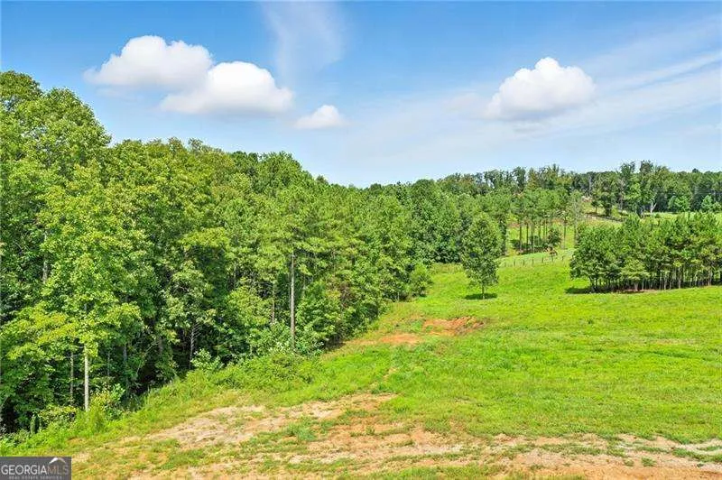3511 Reavis Mountain #2 RD Ball Ground, GA 30107