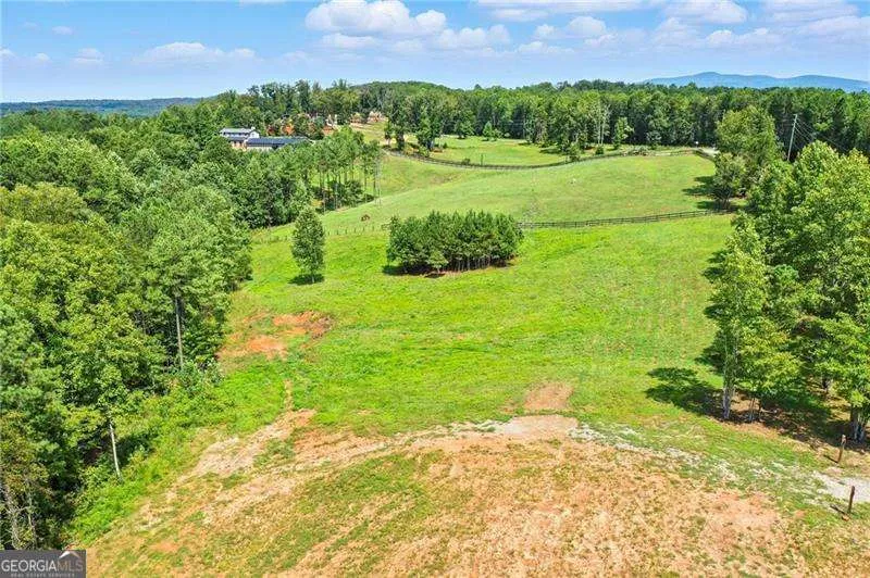 3511 Reavis Mountain #2 RD Ball Ground, GA 30107