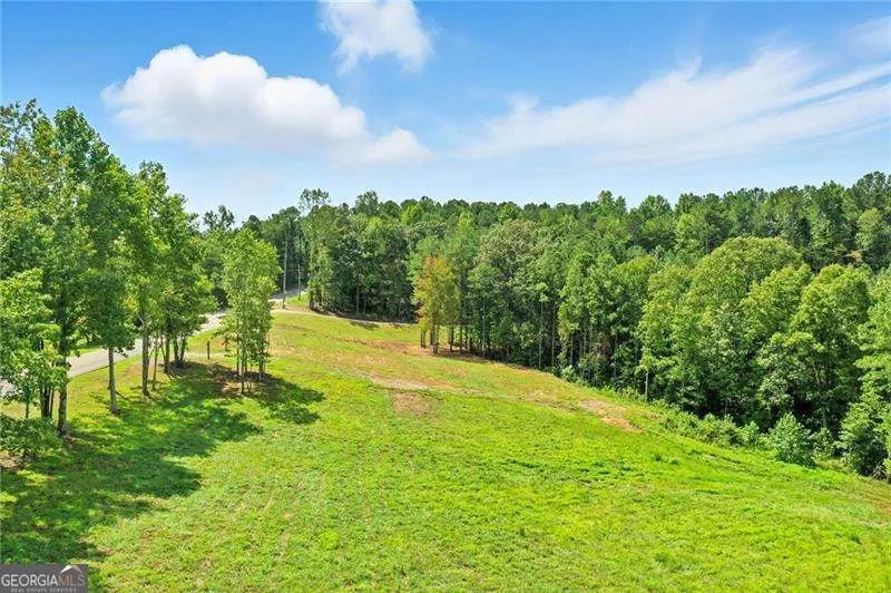 3511 Reavis Mountain #2 RD Ball Ground, GA 30107