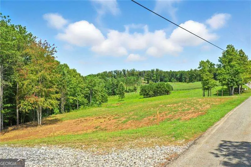 3511 Reavis Mountain #2 RD Ball Ground, GA 30107