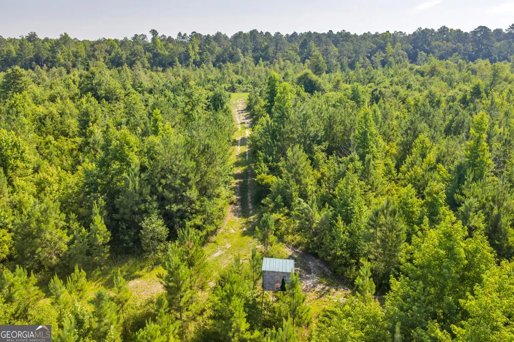 6 Rozar Goolsby RD Eastman, GA 31023