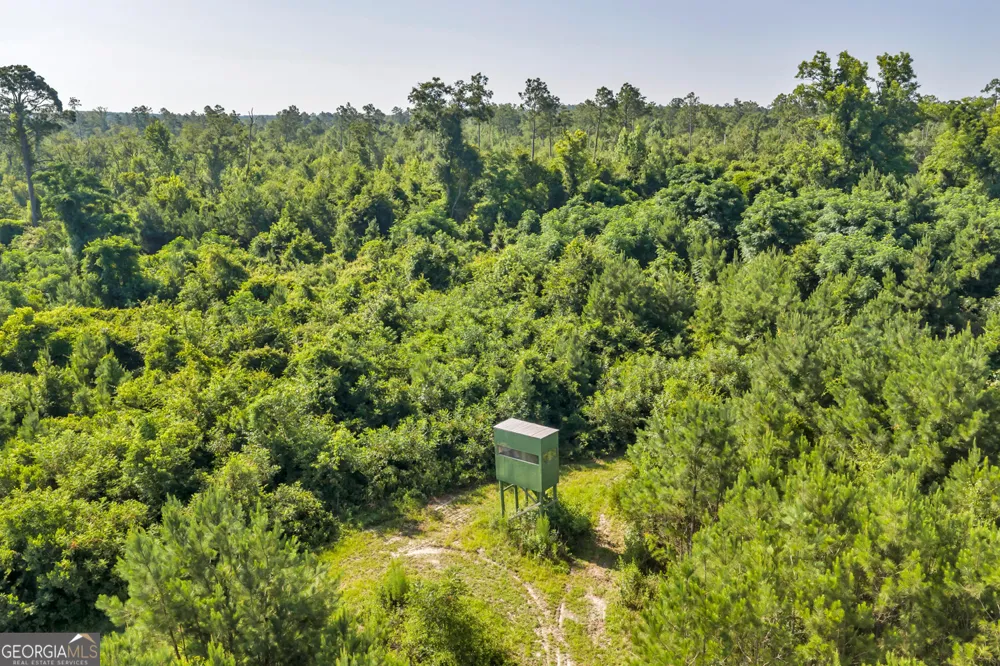 6 Rozar Goolsby RD Eastman, GA 31023