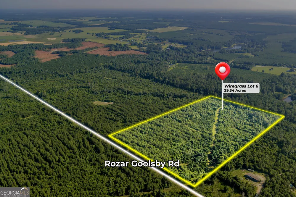 6 Rozar Goolsby RD Eastman, GA 31023