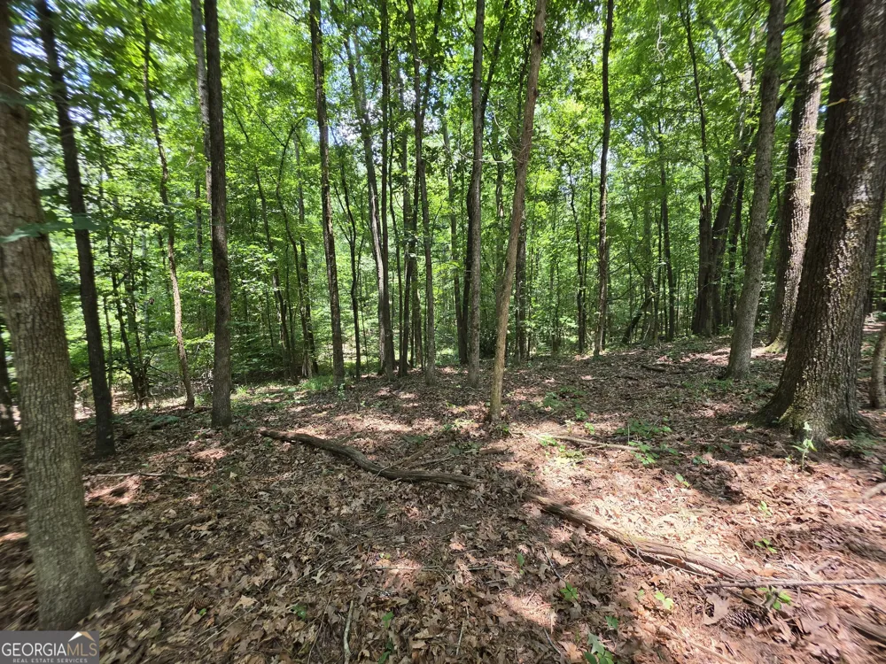 0 Court Ground Washington, GA 30673