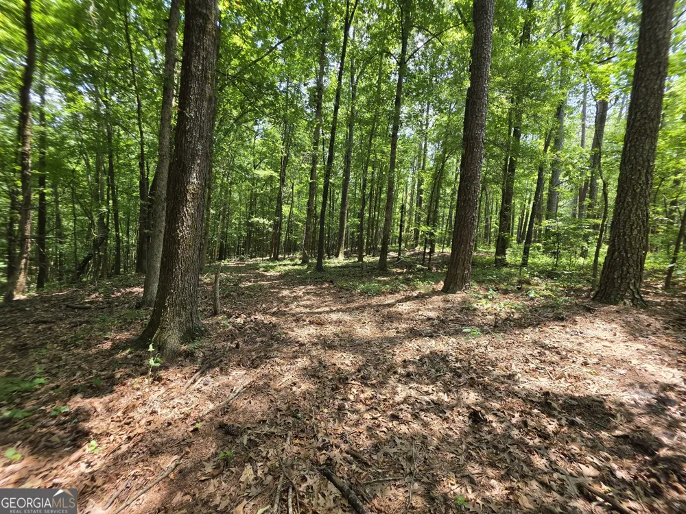 0 Court Ground Washington, GA 30673
