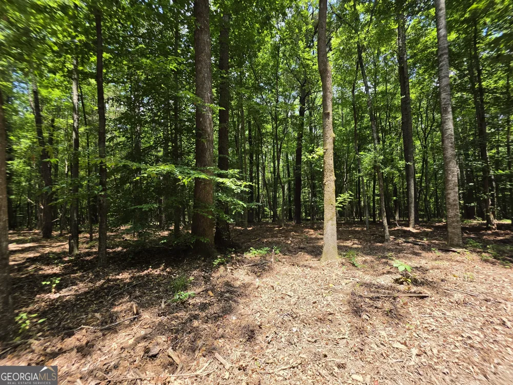 0 Court Ground Washington, GA 30673