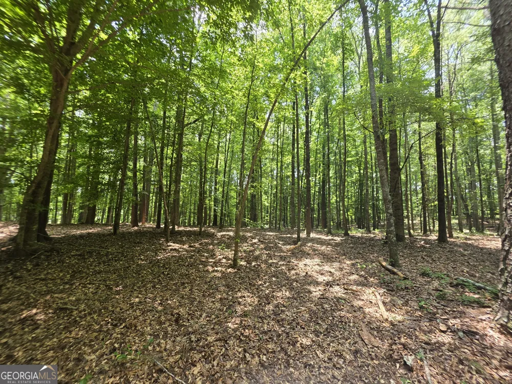 0 Court Ground Washington, GA 30673