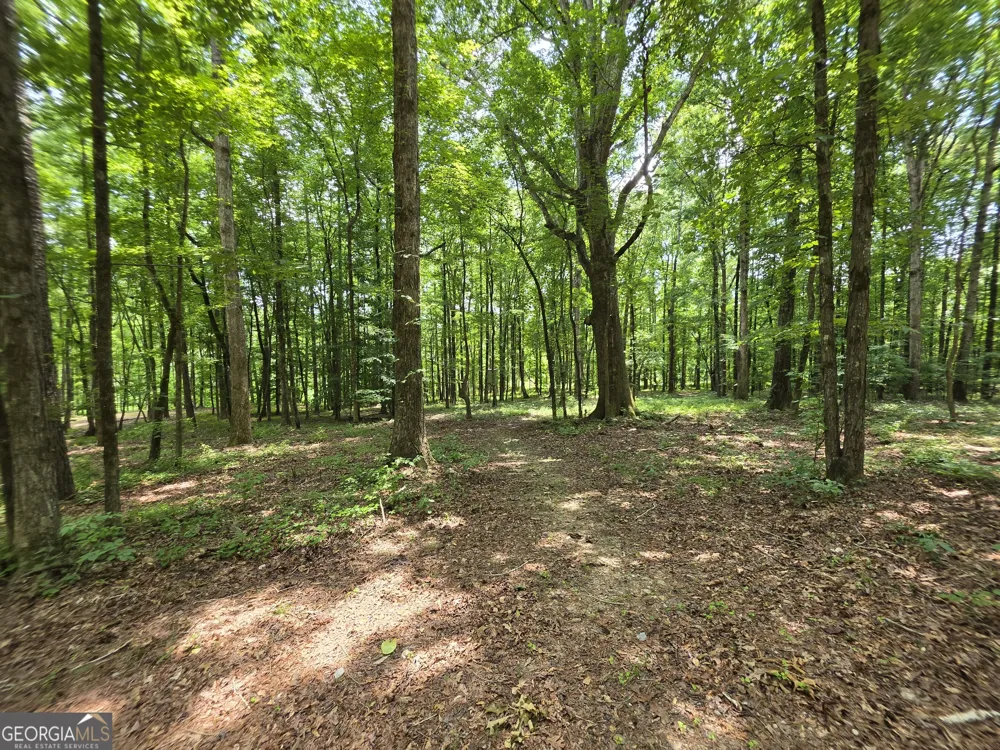 0 Court Ground Washington, GA 30673