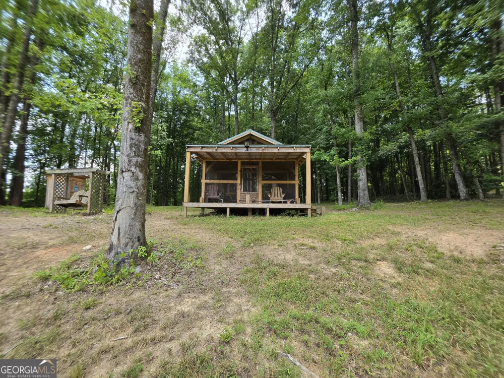 0 Court Ground Washington, GA 30673