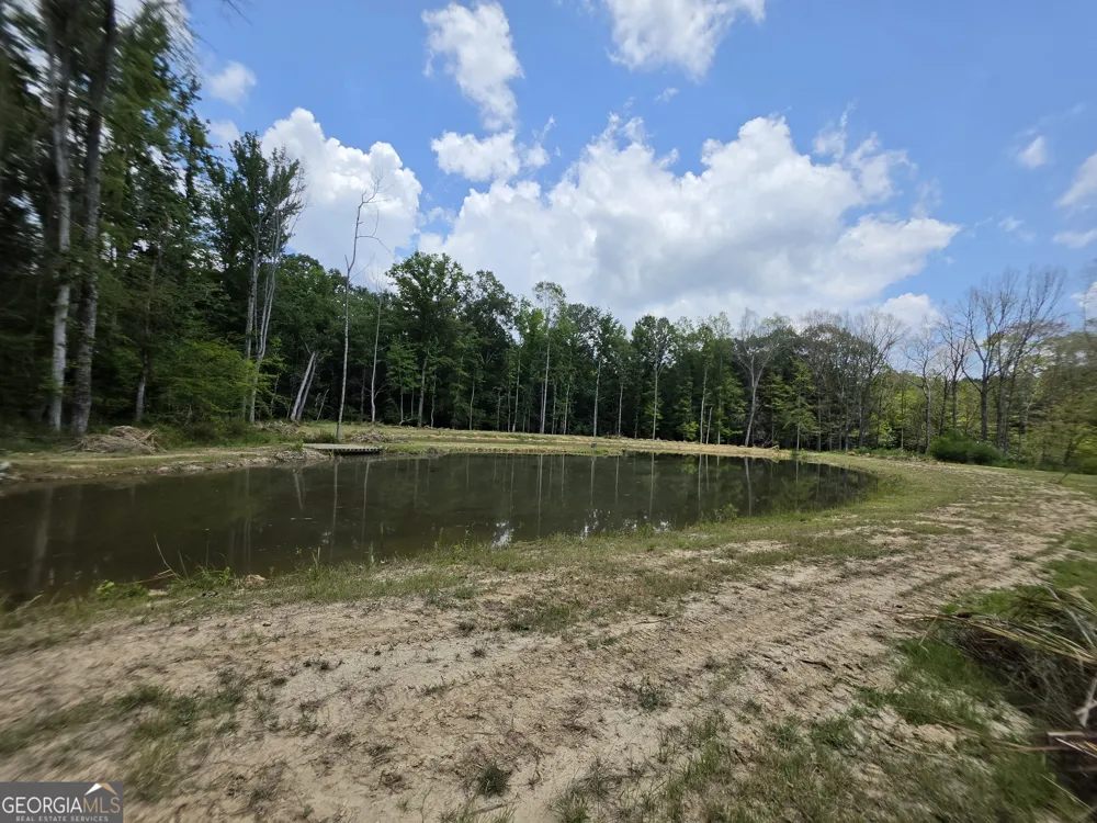 0 Court Ground Washington, GA 30673