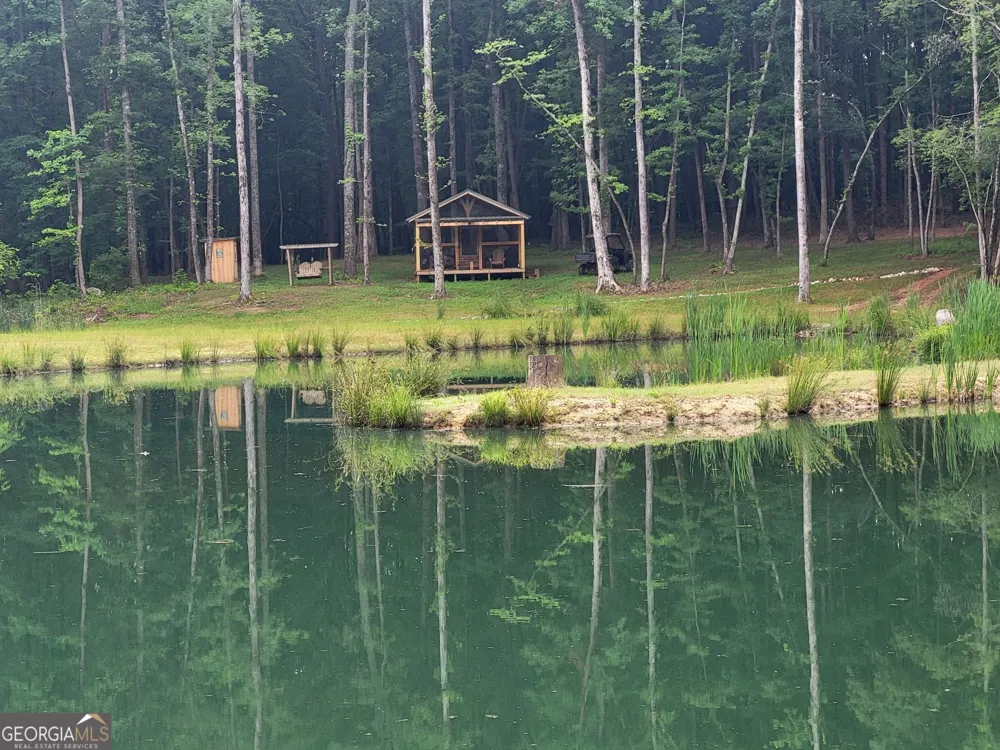 0 Court Ground Washington, GA 30673