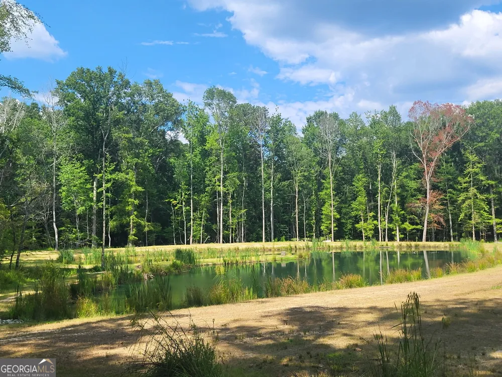0 Court Ground Washington, GA 30673