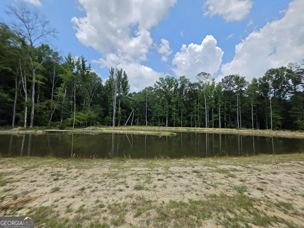 0 Court Ground Washington, GA 30673