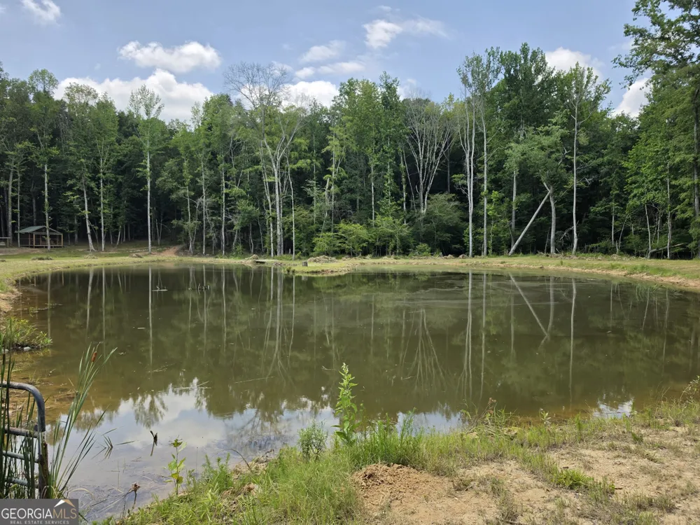 0 Court Ground Washington, GA 30673