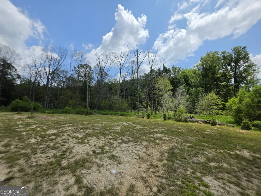 0 Court Ground Washington, GA 30673
