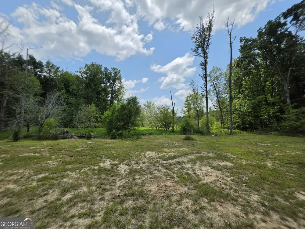 0 Court Ground Washington, GA 30673