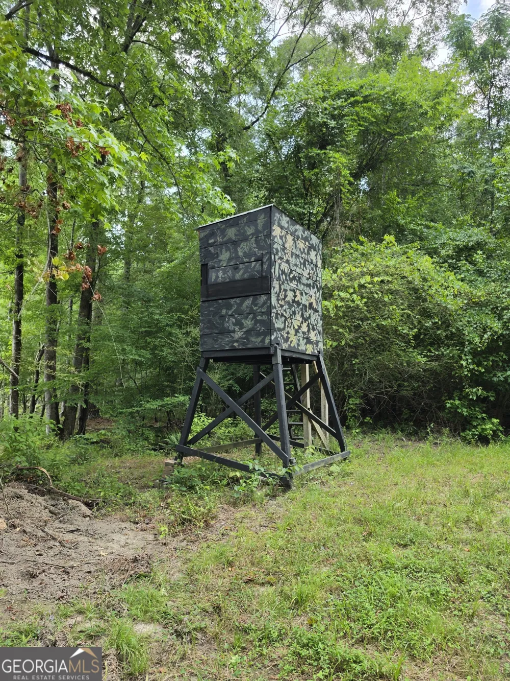 0 Court Ground Washington, GA 30673