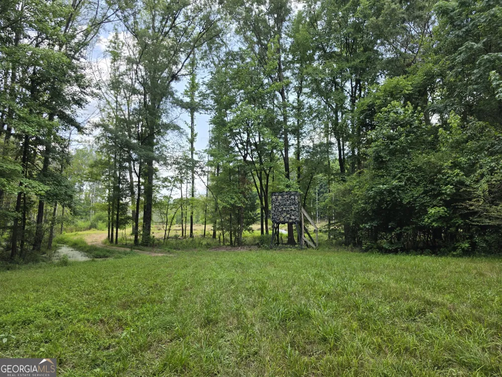 0 Court Ground Washington, GA 30673