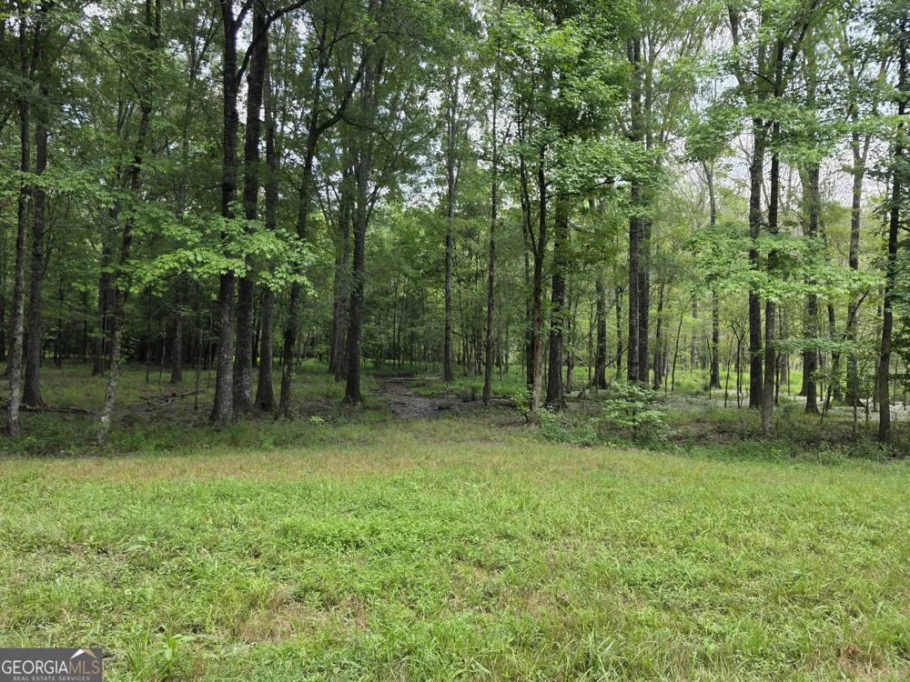 0 Court Ground Washington, GA 30673