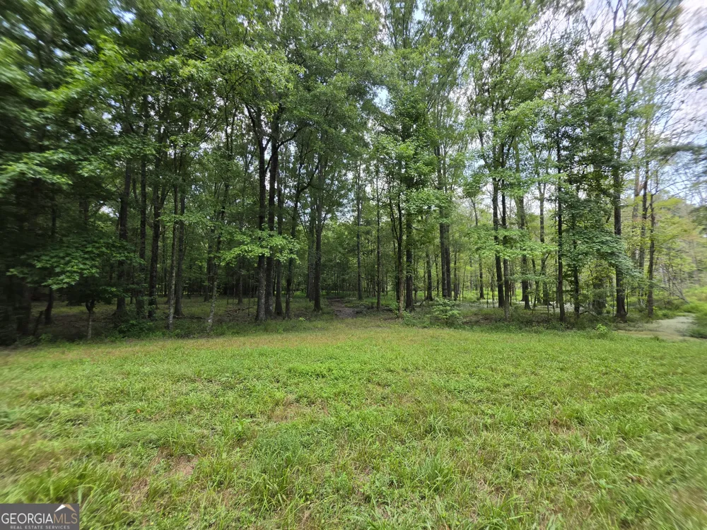 0 Court Ground Washington, GA 30673