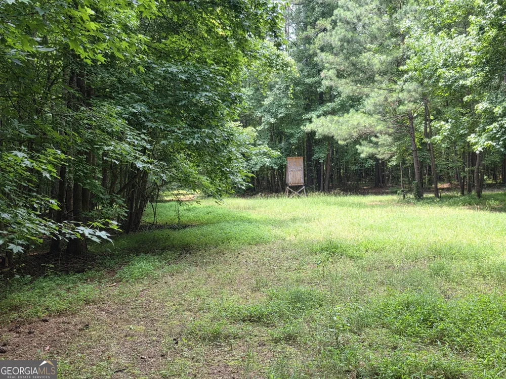 0 Court Ground Washington, GA 30673
