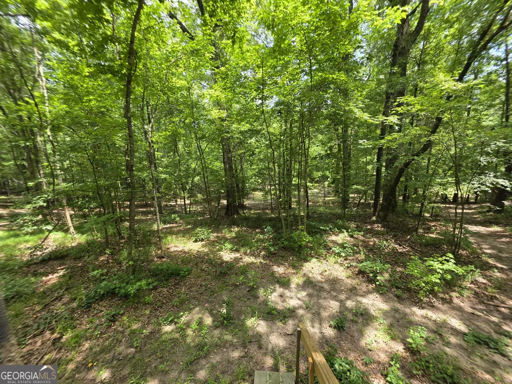 0 Court Ground Washington, GA 30673