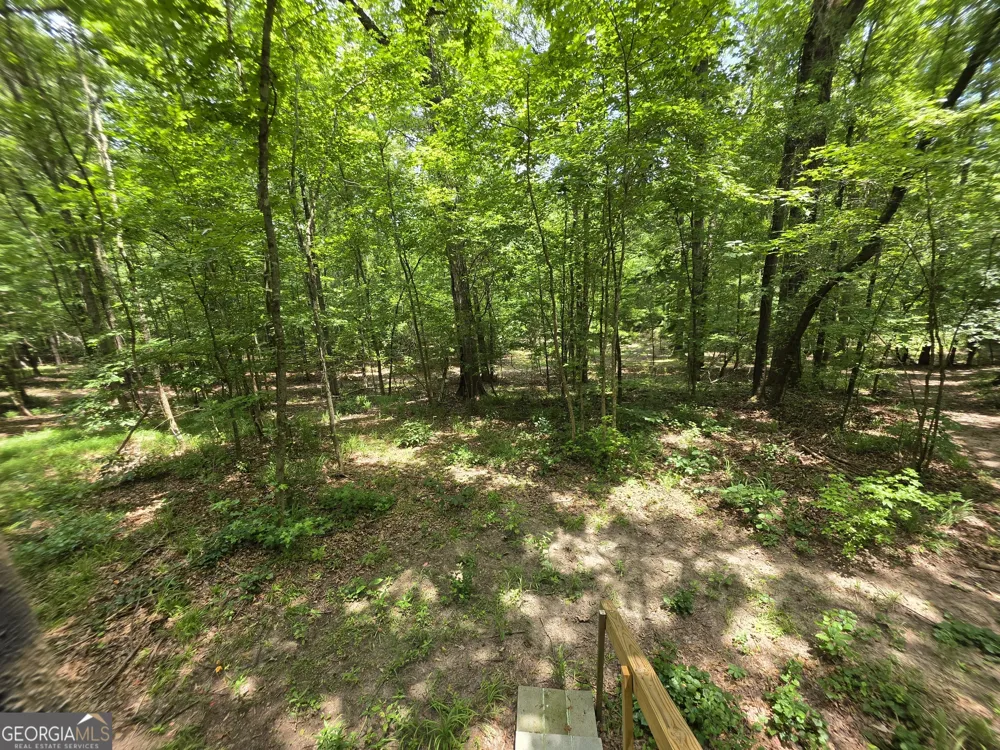 0 Court Ground Washington, GA 30673