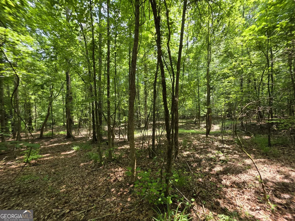 0 Court Ground Washington, GA 30673