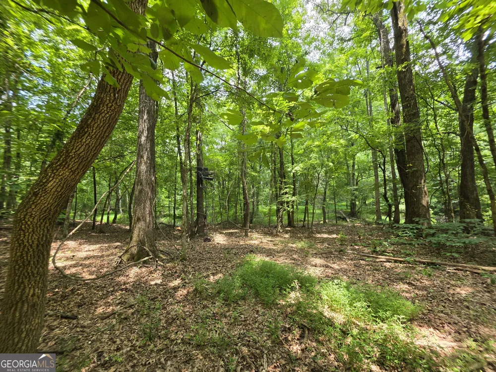 0 Court Ground Washington, GA 30673