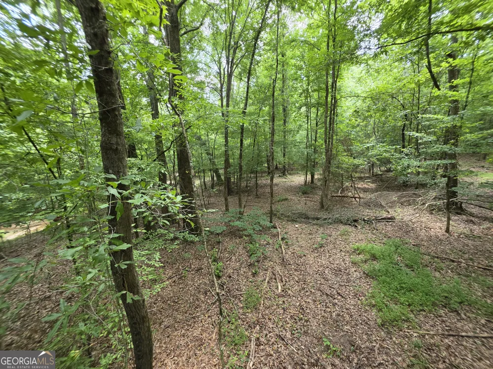 0 Court Ground Washington, GA 30673