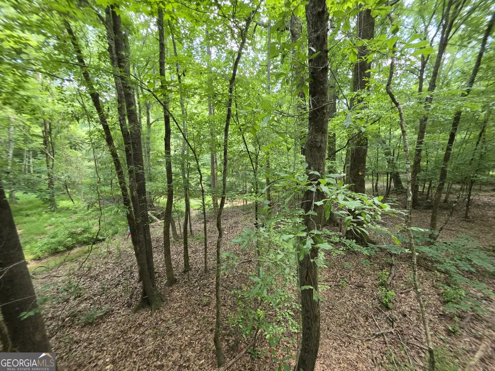 0 Court Ground Washington, GA 30673