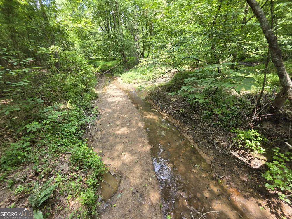 0 Court Ground Washington, GA 30673