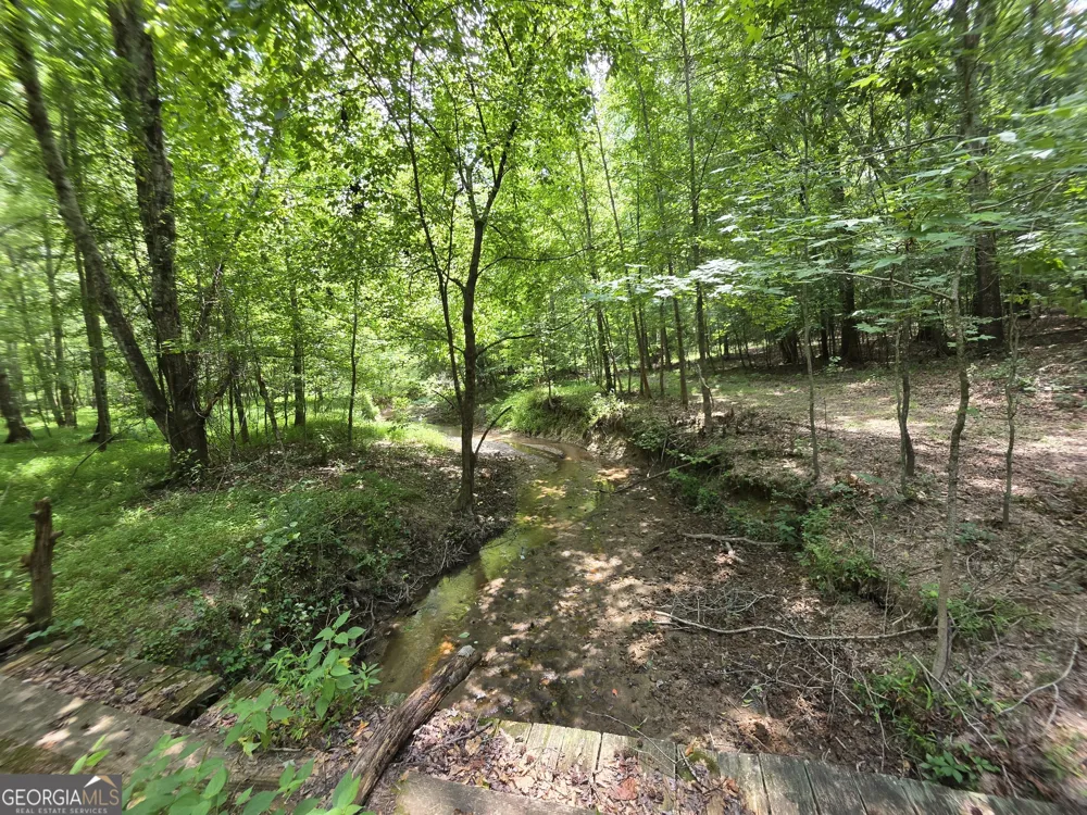 0 Court Ground Washington, GA 30673