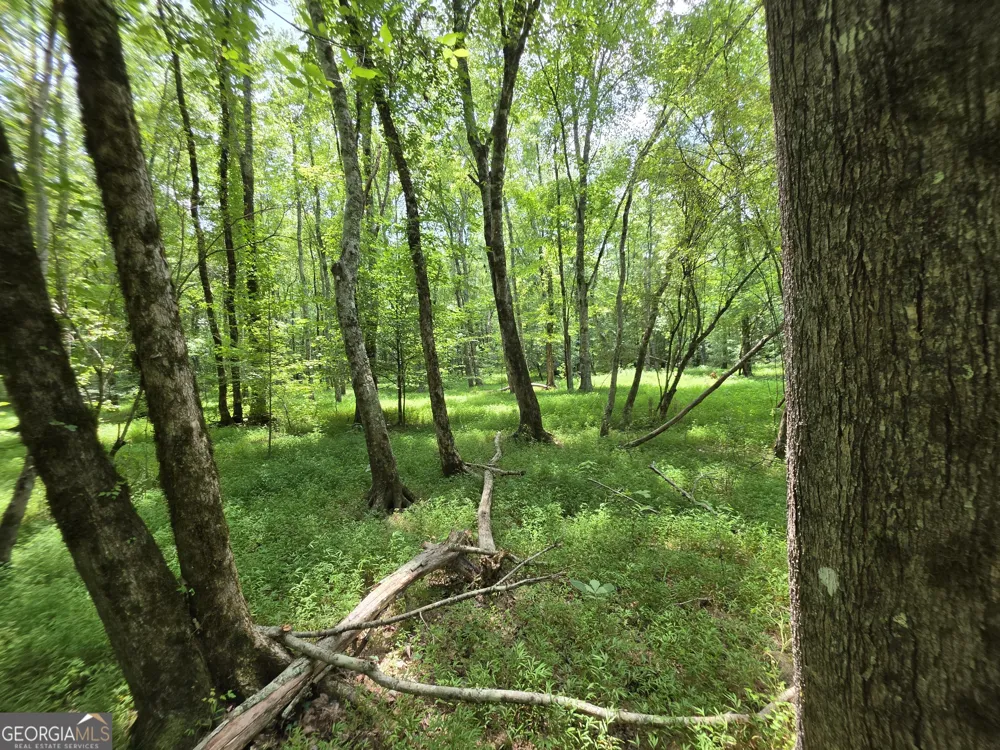 0 Court Ground Washington, GA 30673