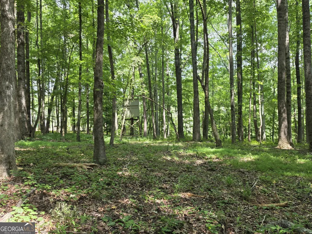 0 Court Ground Washington, GA 30673