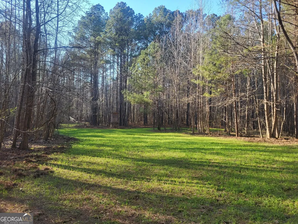 0 Court Ground Washington, GA 30673