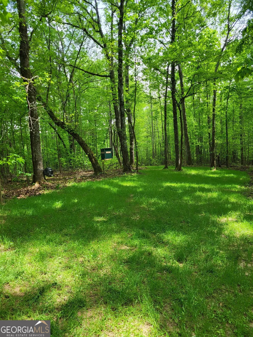 0 Court Ground Washington, GA 30673