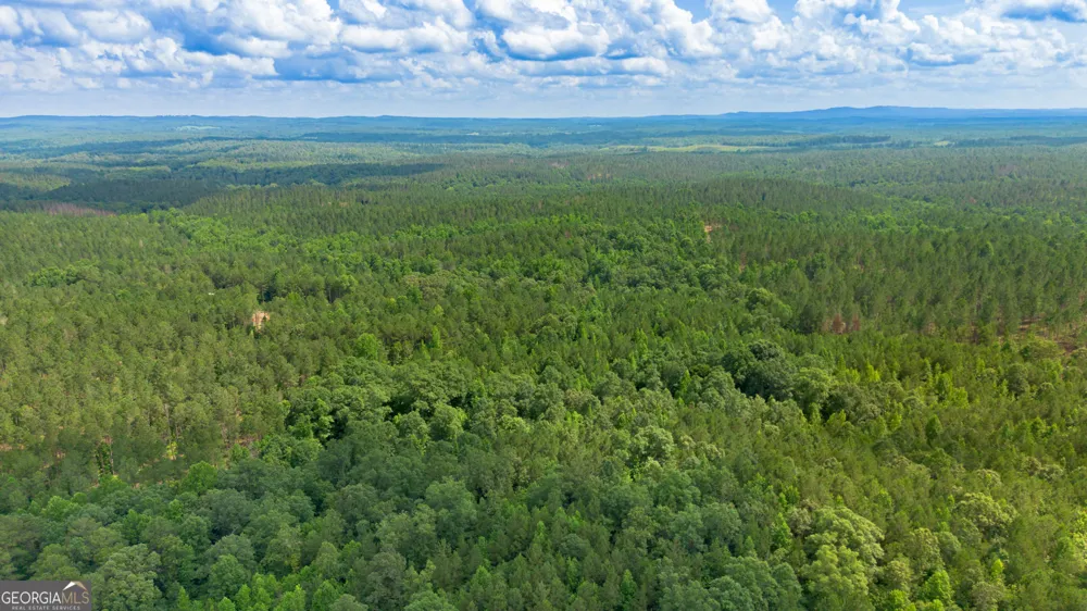 0 Vinyard Lot 3 Fruithurst, AL 36262