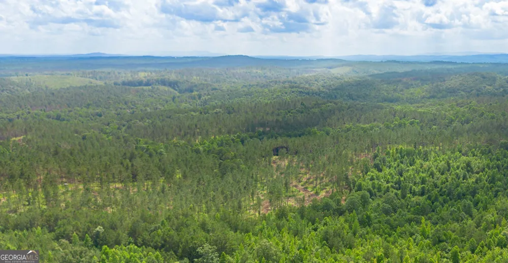 0 Vinyard Lot 3 Fruithurst, AL 36262